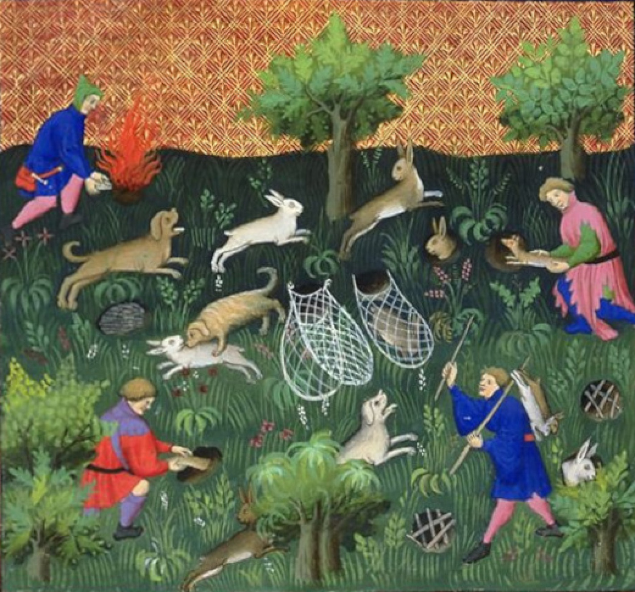 Catching hares with dogs and nets